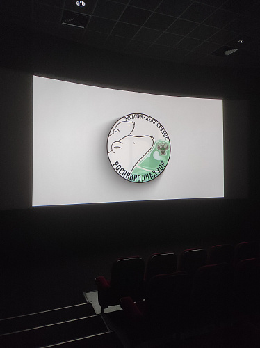 По инициативе Росприроднадзора в кинотеатрах Казани перед сеансами начали транслировать ролик о Премии «Экология – дело каждого»