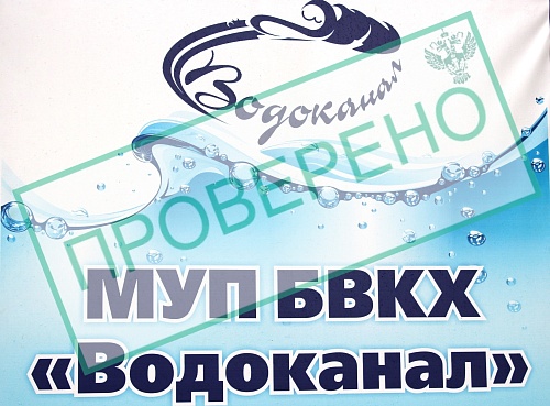 Росприроднадзор провел плановую выездную проверку в отношении МУП БВКХ «Водоканал»