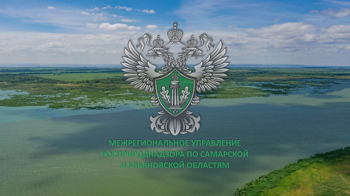 Росприроднадзор завершил проверку закрытых полигонов ТКО в Ульяновской области в рамках  федерального проекта «Генеральная уборка»