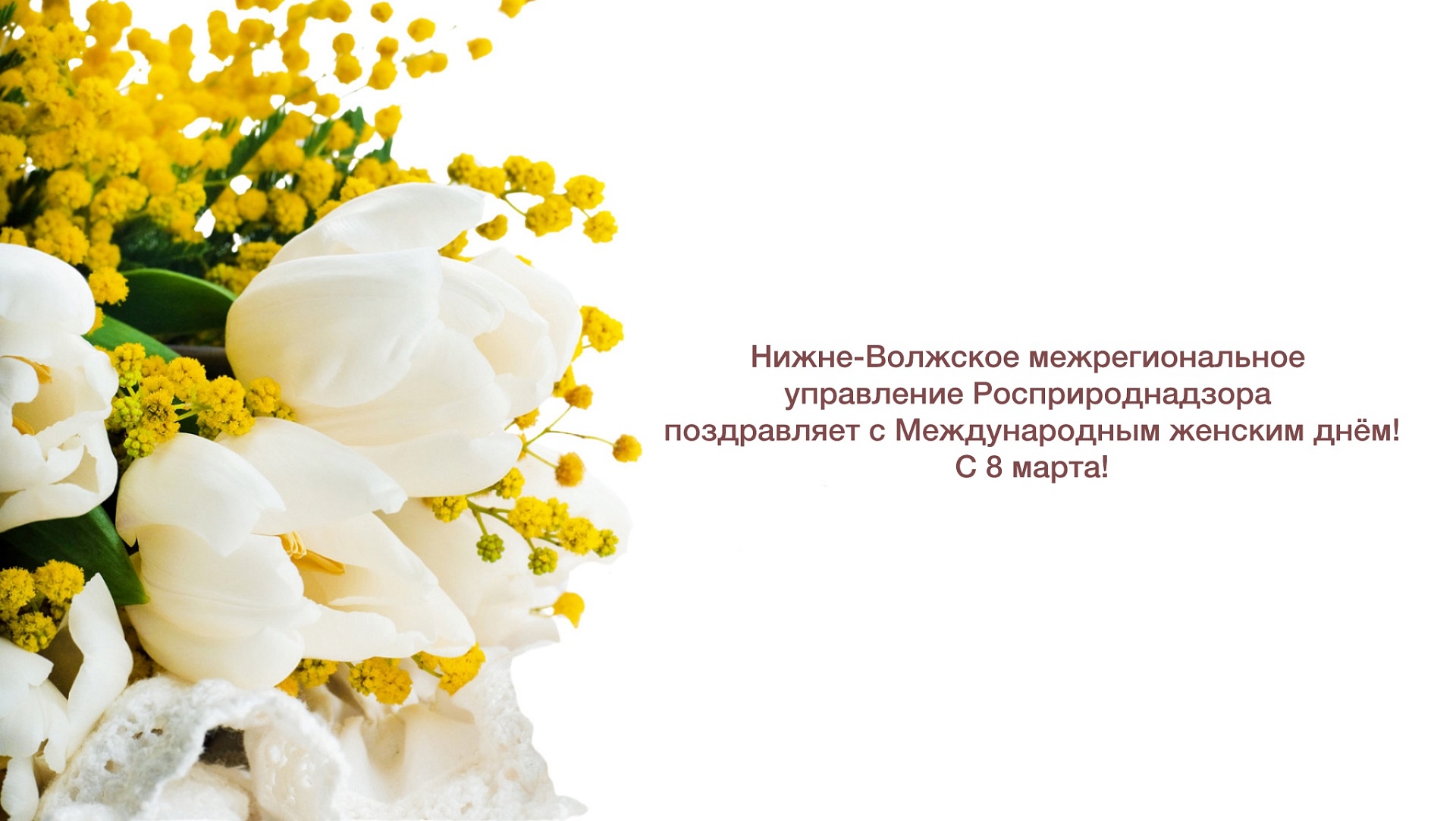 Нижне-Волжское управление Росприроднадзора поздравляет с 8 марта!