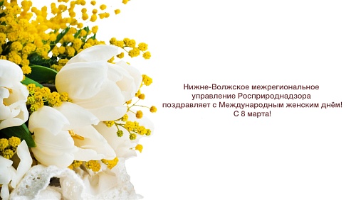 Нижне-Волжское управление Росприроднадзора поздравляет с 8 марта!