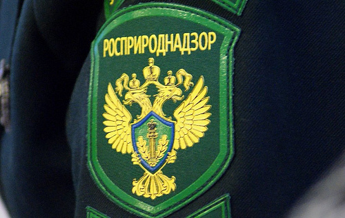 В Свердловской области прошло обучение инспекторского состава по предоставлению государственной услуги