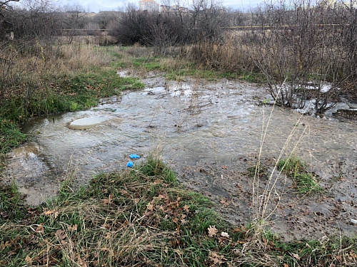 Росприроднадзор принимает меры по факту излива сточных вод в Советском районе г. Волгограда