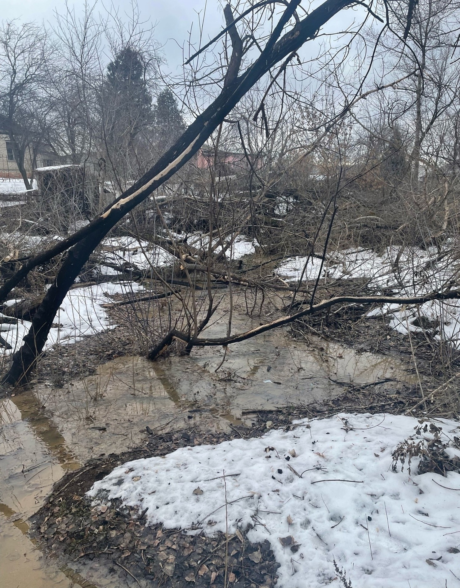Суд поддержал требования Росприроднадзора о возмещении вреда почвам в размере более 1 млн рублей