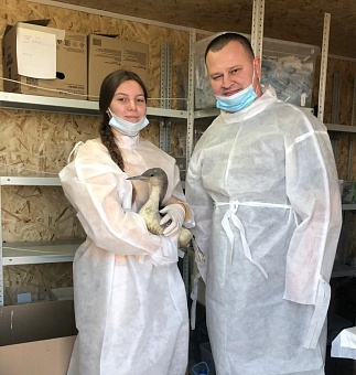 Руководитель Северо-Кавказского управления Росприроднадзора Эрик Алдатов вместе с сотрудниками посетил Центр реабилитации «Пеликан»