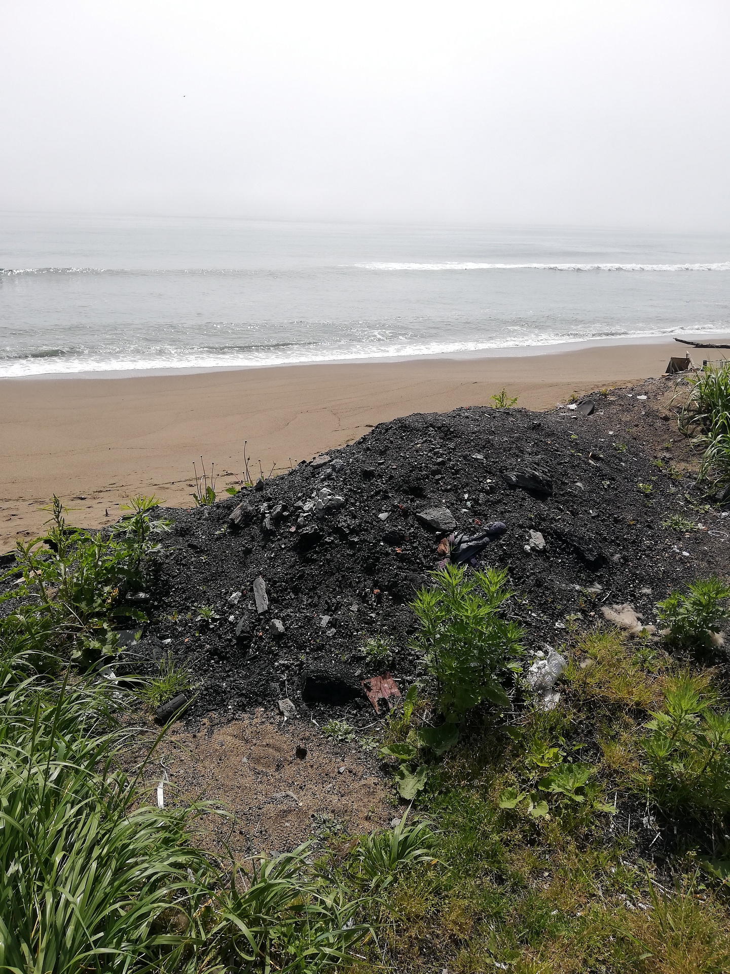 Арбитражный суд Сахалинской области обязал                                ООО «Интеллектуальные коммунальные системы» выплатить более 448 тыс. рублей ущерба, причиненного почвам