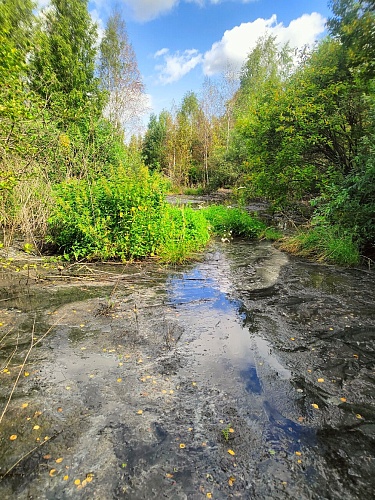 Уральское управление Росприроднадзора совместно со специалистами ФГБУ «ЦЛАТИ по УФО» провели выездное обследование  в п. Новогорный Озёрского ГО Челябинской области