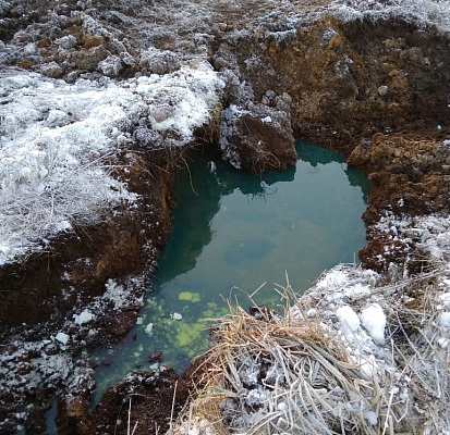 Росприроднадзор отобрал пробы почвы на месте разлива нефтепродуктов в Новгородской области