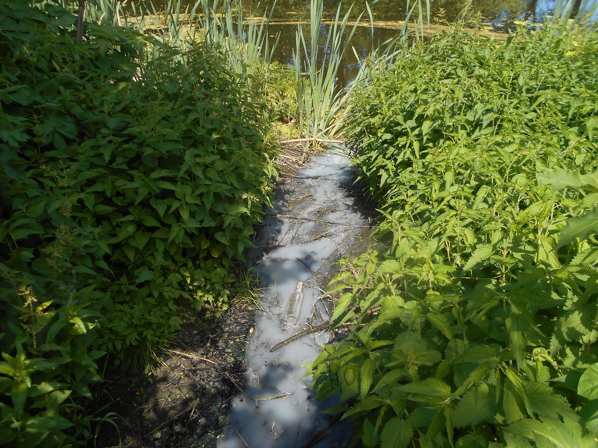 Росприроднадзор требует с Мордовского поселкового МУП ЖКХ добровольно оплатить более 1,8 млн руб. за вред, причиненный реке Битюг от сброса сточных вод 