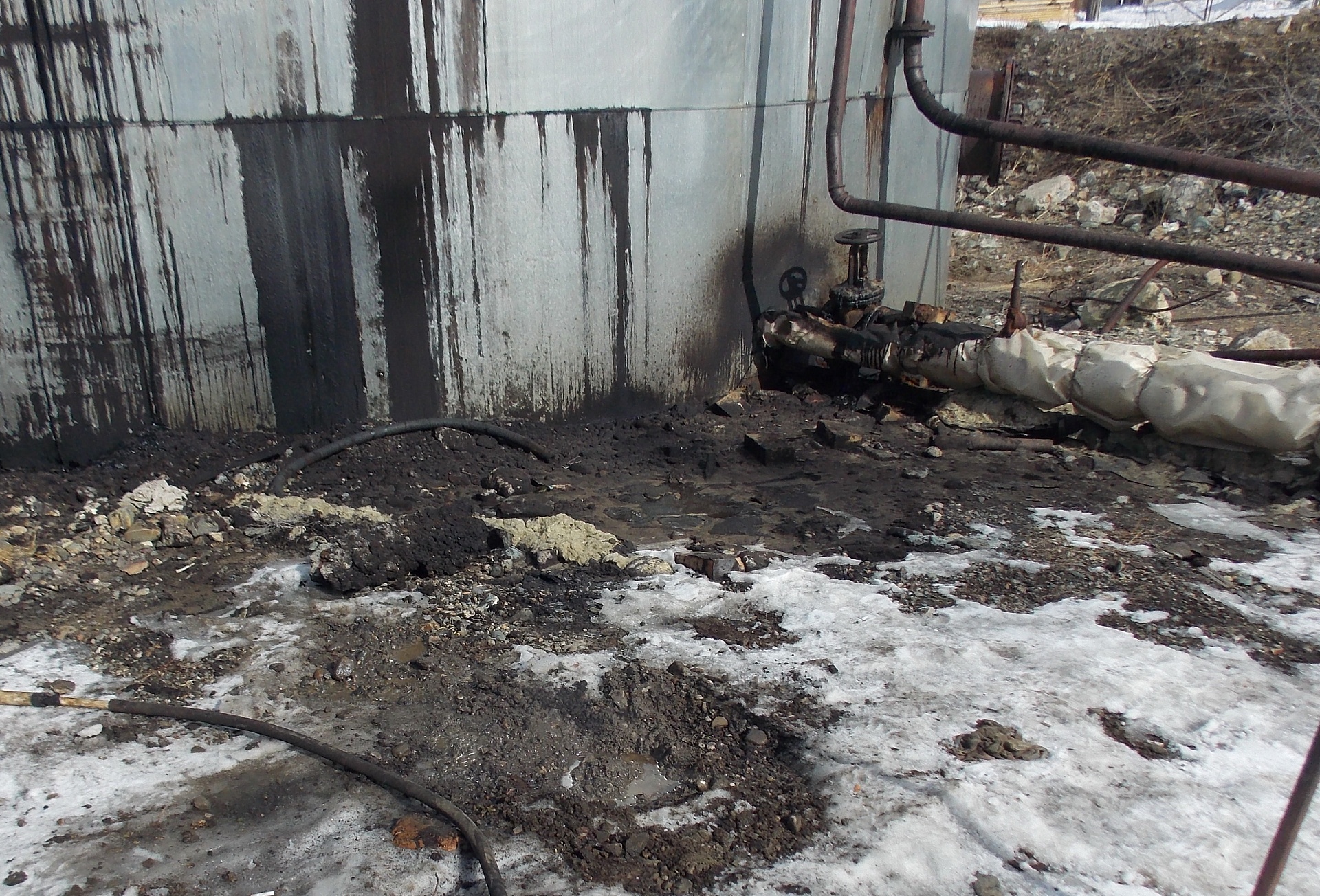 В Республике Алтай добровольно возмещен вред, причиненный почве