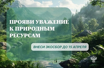 РОП: отчётность