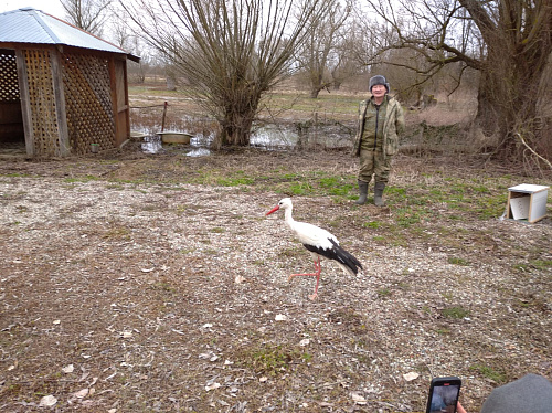 Сотрудники СЗМУ Росприроднадзора приняли участие в возвращении в природу птиц, прошедших реабилитацию в Калининградской области