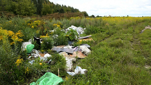 Росприроднадзор направил предостережение администрации города Каменки Пензенской области за складирование отходов