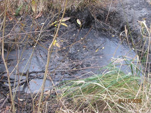 Суд признал ОАО «РЖД» виновным в загрязнении почвы нефтеотходами в Кстовском районе Нижегородской области