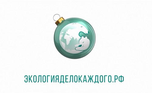 Акция «Экоёлка» — сделай Новый год экологичным!