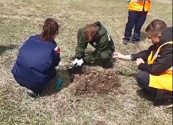 ОАО «РЖД» обязано возместить нанесенный ущерб почвам в Еврейской автономной области