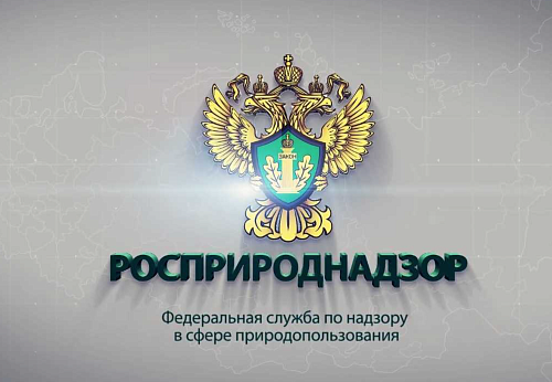 В Нижнем Новгороде пройдет выездное заседание Научно-технического совета Росприроднадзора