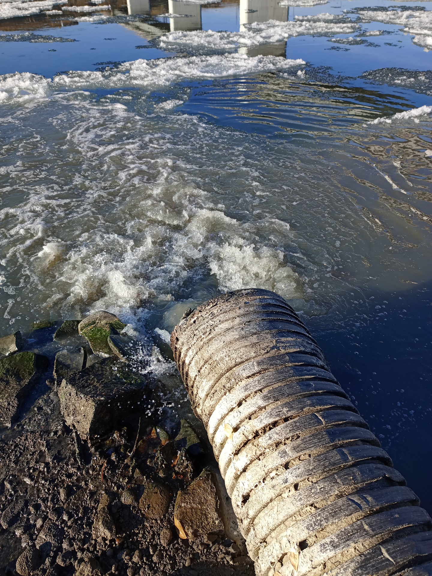 Ущерб р. Енисей, причиненный коммунальным предприятием в Республике Тыва, превысил 20 млн рублей
