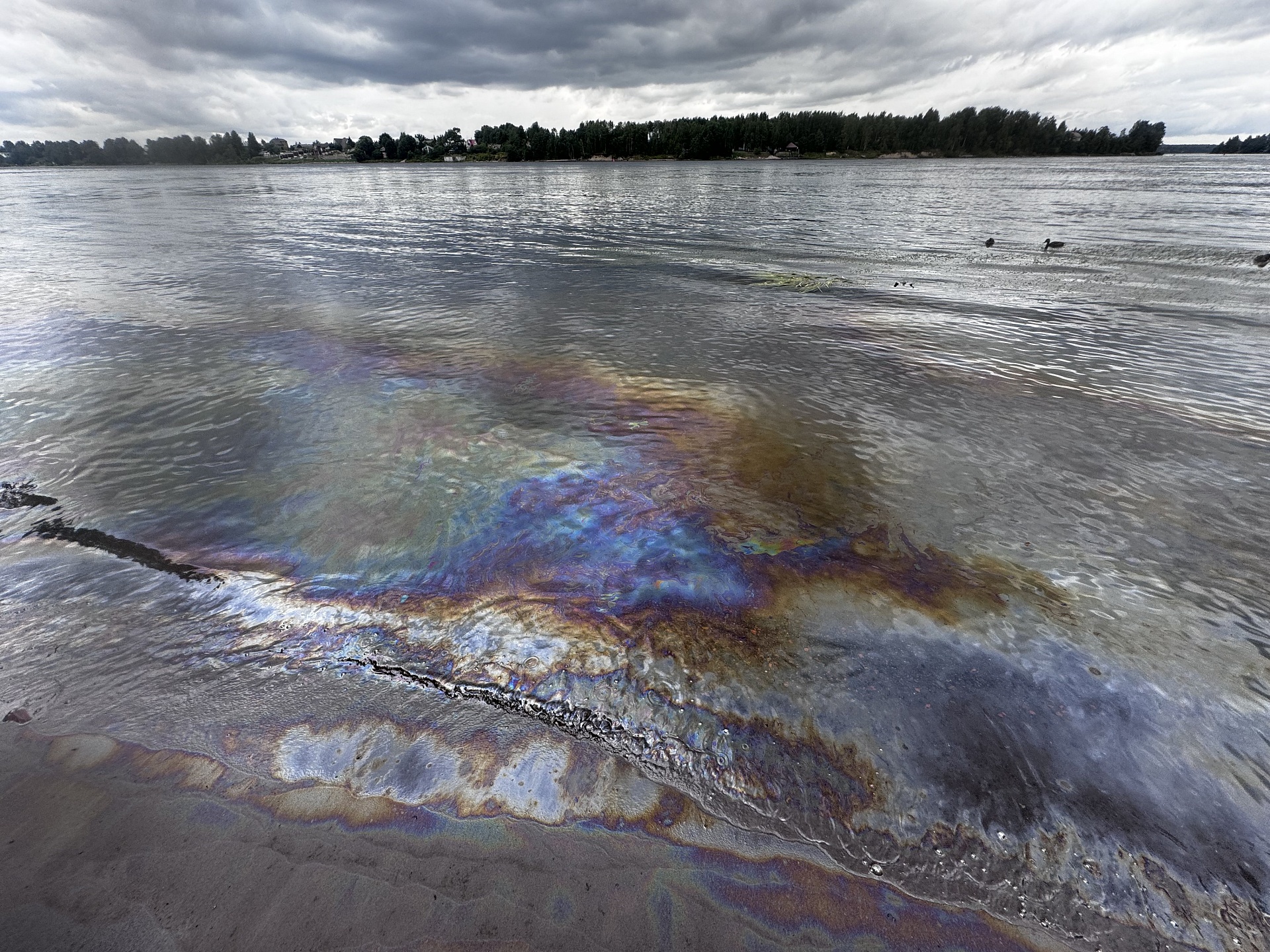 В г. Отрадное СЗМУ Росприроднадзора зафиксировало загрязнение нефтепродуктами почв и воды в р. Нева 