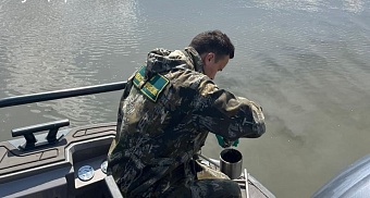 Росприроднадзор проверяет информацию о сбросе сточных вод в р. Прямая Болда