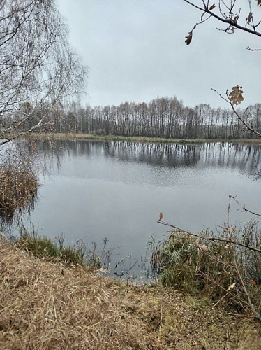 По результатам выездного обследования водного объекта вблизи АО «Рязанский свинокомплекс» установлен факт гибели биологических ресурсов 