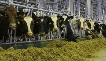 АО «Белгородские молочные фермы» обязано выплатить более 11,5 млн рублей за незаконную добычу подземных вод