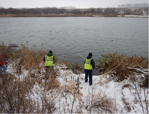 Центрально-Черноземное управление Росприроднадзора требует с МУП «Задонский водоканал» возмещения вреда, причиненного реке Дон за сброс сточных вод 