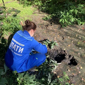 В Карелии изливом сточных вод нанесен экологический ущерб на 15 млн рублей