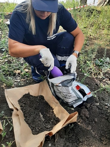 Росприроднадзор проводит проверку по факту сброса канализационных стоков от кафе и АЗС на участок лесополосы трассы М-4 Дон в Воронежской области