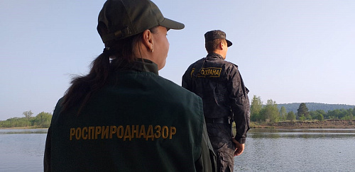 В Свердловской области инспекторы Росприроднадзора проверили соблюдение законодательства по охране водных биологических ресурсов, занесённых в Красную книгу РФ