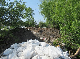 Администрация Нижнего Новгорода обязана возместить ущерб от незаконной свалки