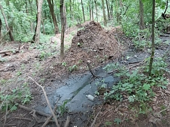В Воронежской области суд обязал «Айдаровское ЖКХ» возместить экологический ущерб