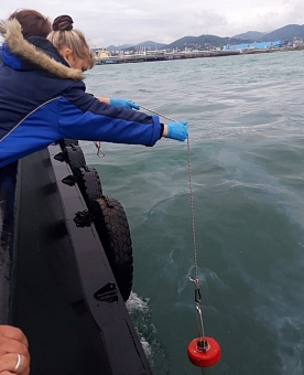 Суд обязал ФГБУ «Морспасслужба» возместить более 114,7 млн рублей за ущерб Черному морю от затонувшего плавучего крана