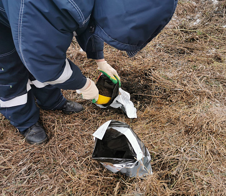 Росприроднадзор провел выездное обследование места несанкционированного размещения отходов сахарного производства «Кристалл» в Воронежской области