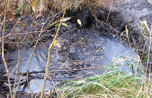 ОАО «РЖД» признано виновным в загрязнении почвы нефтеотходами в Кстовском районе Нижегородской области