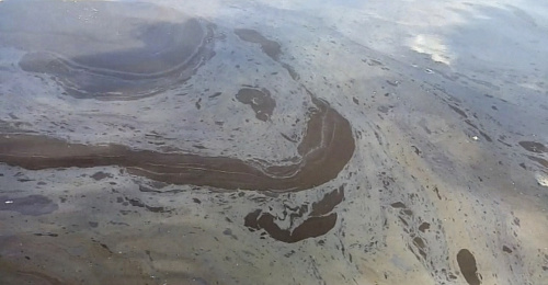 Росприроднадзор по СЗФО установил предполагаемый источник поступления нефтепродуктов в реку Волхов
