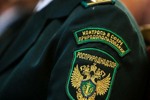 Арбитражный суд встал на сторону Росприроднадзора в судебном споре с АО «Международный аэропорт Шереметьево».