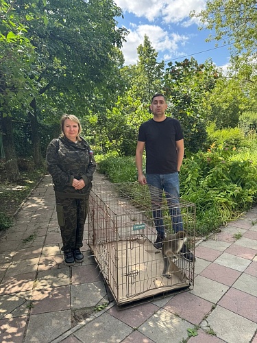 Приазовское межрегиональное управление Росприроднадзора приняли участие в спасении зеленой мартышки в ЛНР