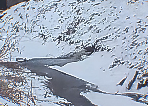 Факт возможного нарушения требований природоохранного законодательства на территории пгт. Промышленная находится на контроле Южно-Сибирского межрегионального управления Росприроднадзора