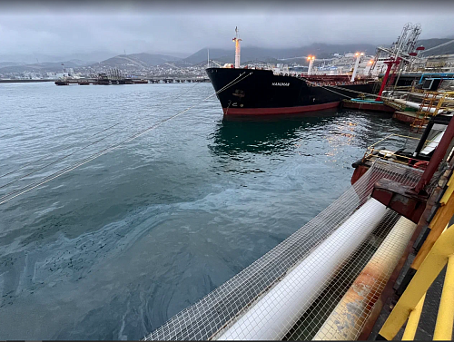 Загрязнитель платит: вред, причиненный Черному морю крупным разливом нефтепродуктов в морском порту Новороссийск возмещен иностранной компанией в полном объеме