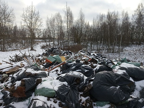 По указанию Росприроднадзора должна быть устранена свалка в с. Норовка Пензенской области