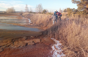 Арбитражный суд Курской области обязал спиртзавод «Бекетовский» возместить ущерб, причиненный экологии региона