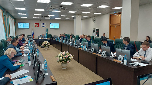 Руководитель Дальневосточного управления Росприроднадзора принял участие в заседании Сахалинской областной Думы