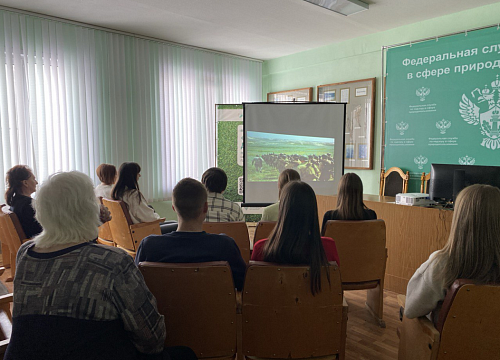  Сотрудники Росприроднадзора по Саратовской и Пензенской областям приняли участие в мероприятиях, приуроченных к празднованию 80-й годовщины Победы  