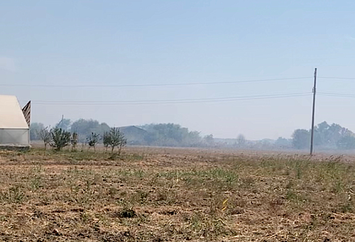 В Краснодарском крае и Республике Адыгея Росприроднадзор проводит мониторинг атмосферного воздуха в период сжигания пожнивных остатков рисовой соломы