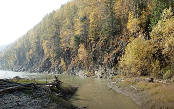 ООО «Горняк» обязано возместить более 70 млн рублей за загрязнение водоема в Амурской области