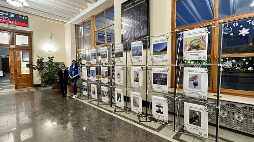 Росприроднадзор открыл выставку работ победителей премии «Экология – дело каждого» в городе Сочи