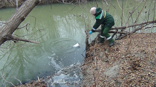 Суд удовлетворил иск Росприроднадзора о взыскании с ООО «Жилград» более 400 тыс. руб. ущерба, причиненного р. Була