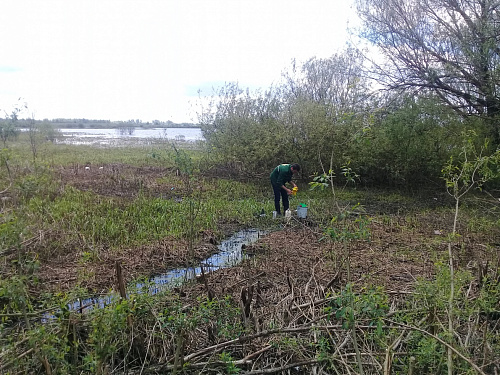 Росприроднадзор выявил факты разлива сточных вод на рельеф местности в г. Бежецк Тверской области.