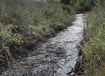 Росприроднадзор добивается от ООО «Пром-Нефть-Сервис» возмещения ущерба почвам